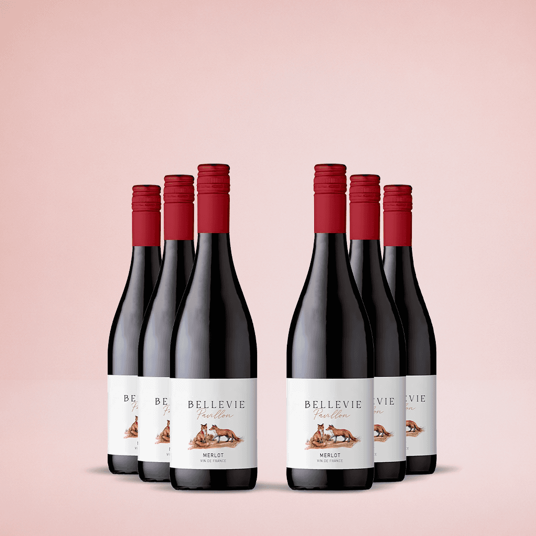 Vin de France Rouge Merlot, 6-pack